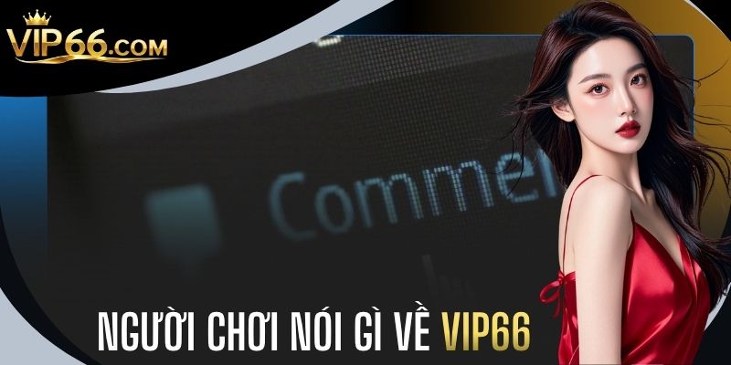 Người Chơi Nói Gì Về VIP66