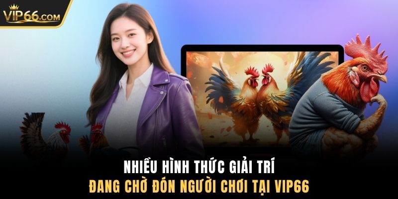 Nhiều hình thức giải trí đang chờ đón người chơi tại VIP66